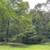 12.7-ACRES WOODED, VACANT LAND IN THE CITY OF MERRILL 7 thumbnail