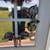 2 flag display suction holders 4 thumbnail