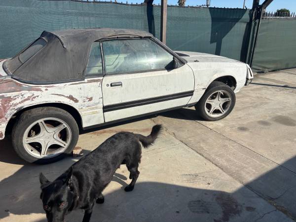 84 mustang 5.0 - $1,000 (El monte)63623927164929120