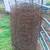 used field fence plus barb wire 1 thumbnail
