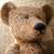 Antique STEIFF BEARS BLANK BUTTON 24 thumbnail
