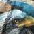 Bald Eagle Mandala 24 inch Art on Canvas 3 thumbnail