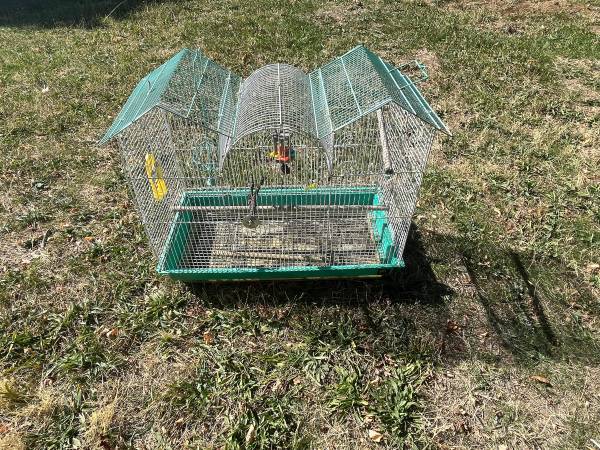 Bird cage 1
