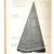 Rare ’The Redwoods of Coast and Sierra’ by James Clifford Shirley 9 thumbnail