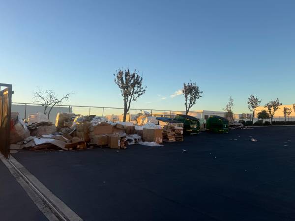 Free cardboard boxes – daily pickup available 1