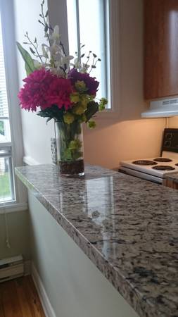 WATERFRONT 6 ROOMS-2-ROOMS IN BASEMENT*YARD*PARKING*W/D HOOKUPS 3