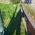 Maintenence clean outs junk removal fencing irrigation decks planting and more 6 thumbnail