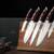 Brewin CHEFILOSOPHI Japanese Chef Knife 5 Pieces Set - BRAND NEW 7 thumbnail