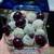 Candied fruit 10 thumbnail