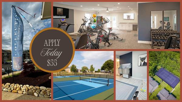 $1,299 / 1br - 800ft2 - 🍂 Caiga en Ahorros en Collective at Sutherland 🍂 (Knoxville, TN)63815667412225120