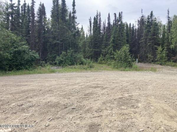 $295,000 40 Acres In Meadow Lakes With Good Road Access! (Wasilla)64149620326785123
