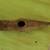 Antique Ship Sledgehammer. 3 thumbnail