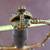 English Edwardian Court Sword. Edward VII. Circa 1901-1910 12 thumbnail
