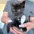 KITTENS 1 thumbnail