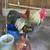 Chickens 2 thumbnail