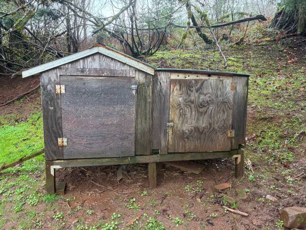 Old chicken coop 1
