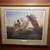 4 Framed Mark Anderson Pheasant Prints 2 thumbnail