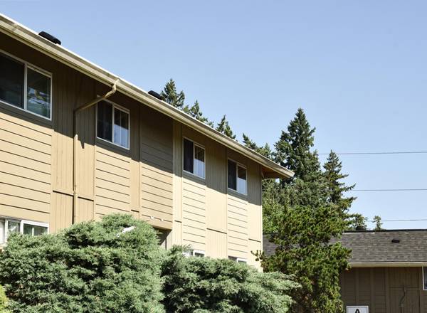 $1,200 / 1br - FREE MTH + $500 OFF | Quaint 1 Bed - Access to Public Transportation (Wilkes-East)63615696044289122