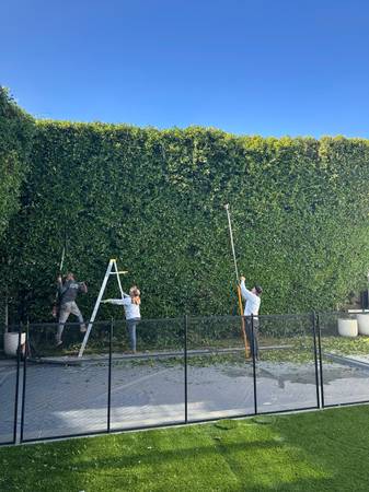 Roldan Landscaping services 1