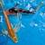 Large domestic butterfly koi 1 thumbnail