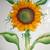 Sunflower Watercolor Original - Beautiful and Peaceful Piece of Art 4 thumbnail