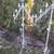 Vintage Adjustable Pair Wrought Iron Candelabra’s Stands  7 Candle 3 thumbnail