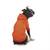 NWT*👉🏻Basic Dog Hoodie 20" Large Vibrant Orange 8 thumbnail