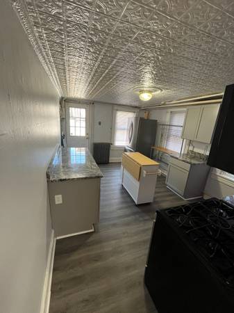$2,000 / 2br - 1200ft2 - Updated  Apartment in the Patterson Park Area (Paterson Park Butchers Hill)63694983940353121