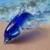 Hand Blown Cobalt Blue and Clear Glass Dolphin 3 thumbnail