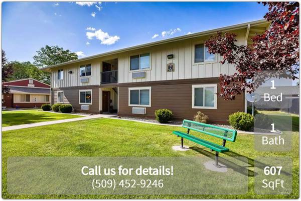 $533 / 1 hab. - 607ft2 - Una nueva perspectiva de vida: ¡1 hab., 1 baño, 607 pies cuadrados! (Moxee)62979518149377121