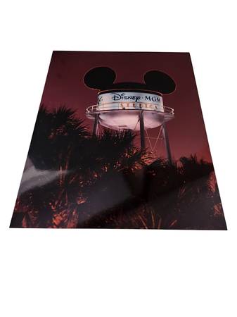 8x10 Professional Photo of Disney MGM Studios Water Tower dated 1988 1