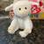 TY Beanie Babies - brand new 4 thumbnail