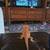 Leopard Gecko/Bearded Dragon 10 thumbnail
