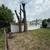 tree removal & landscaping 22 thumbnail