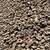 Red lava rock 2 thumbnail