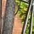 Bike Sixthreezero Basic Cruiser Bike W/Rear Rack Flawless Condition 8 thumbnail