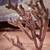 10 REASONS - IT’S TIME FOR A NEW GARDENER – JOSHUA TREE & HIGH DESERT 8 thumbnail