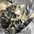 3 kittens re- homing 2 thumbnail