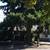 SHARING HOUSE, Private1betroom1bath,All utilities n Parking included 16 thumbnail