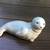 Seal Statue on wood base 3 thumbnail