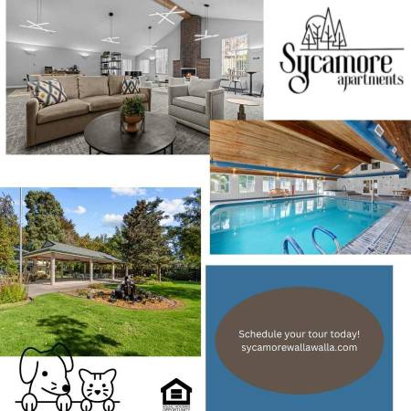 $1,450 / 1br - 820ft2 - FREE Laundry Facilities, Stand-Up Shower, Dishwasher (Near Whitman College)63803266486275124