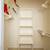 🌕 Under the Harvest Moon—Spacious 3BR/2.5BA Awaits! 6 thumbnail