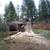 Angry Beaver Tree Removal Services 4 thumbnail