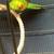 Three kakarikis 3 thumbnail