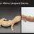 Rehoming albino geckos 2 thumbnail