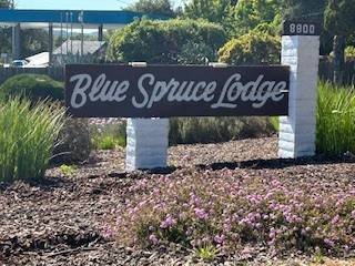 Part-time Property Maintenance Monday - Thursday 8-2 1