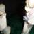 Lladro Nativity Set >8Pcs> All Marked with Stamp - Mint Condition 5 thumbnail