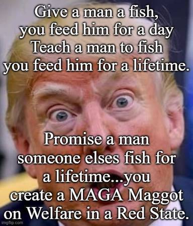 Creating A MAGA Maggot 1