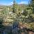 Prime Location for a Custom Built Home in Prescott 1 thumbnail