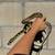 Jungle Carpet Python 2 thumbnail